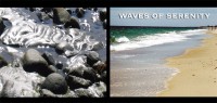 waves-of-serenity-cd-cover